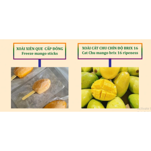 Công Ty TNHH Nông Sản Song Nhi